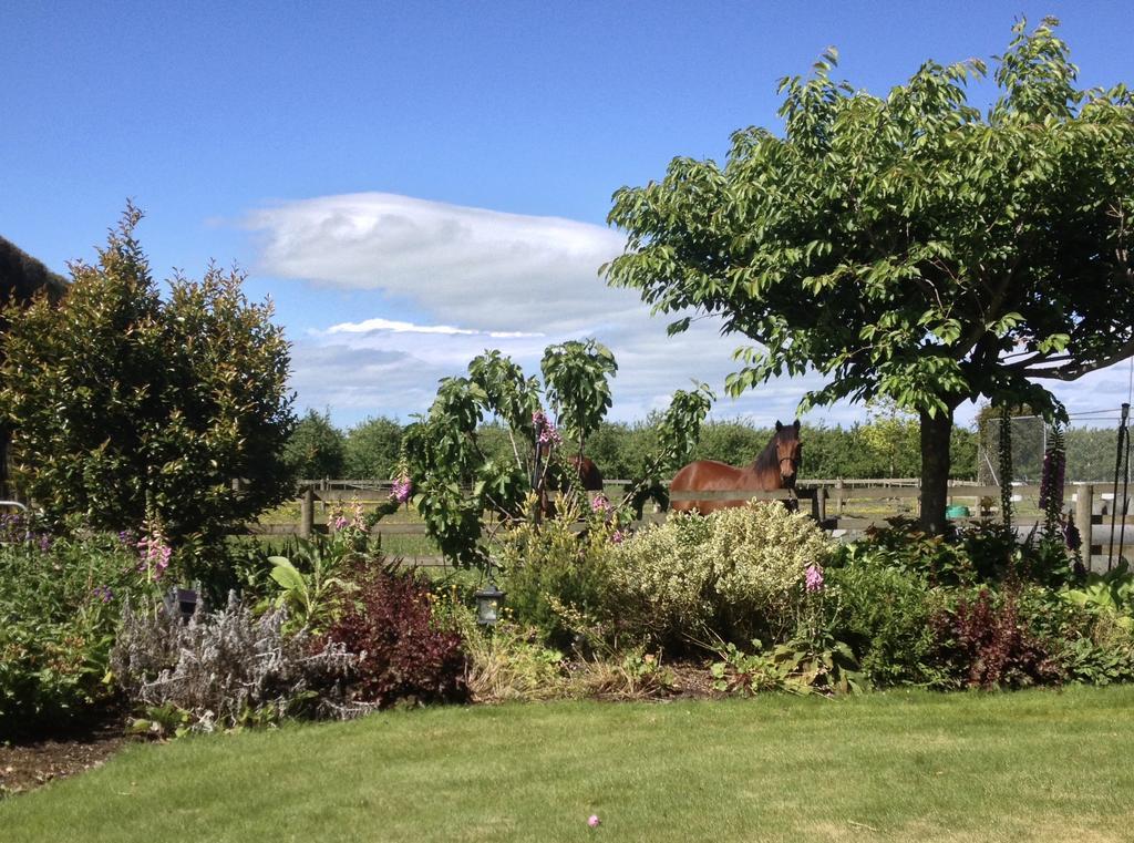 Dewdrop Cottage Hastings Luaran gambar